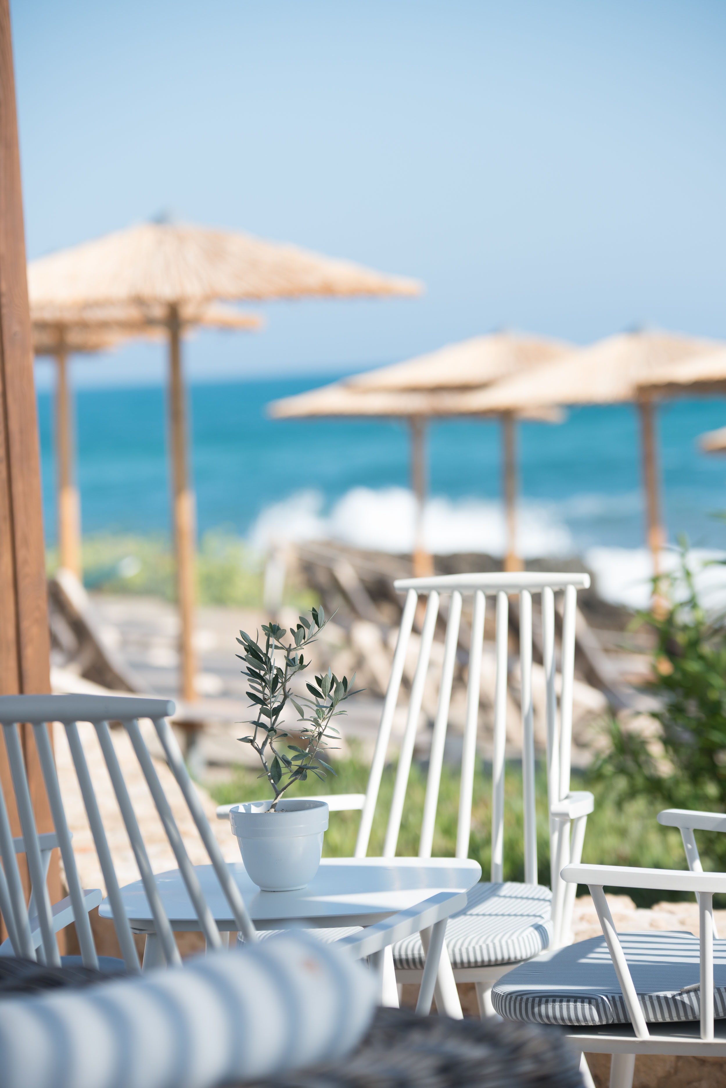 Cafe and sunbeds overlooking the sea
