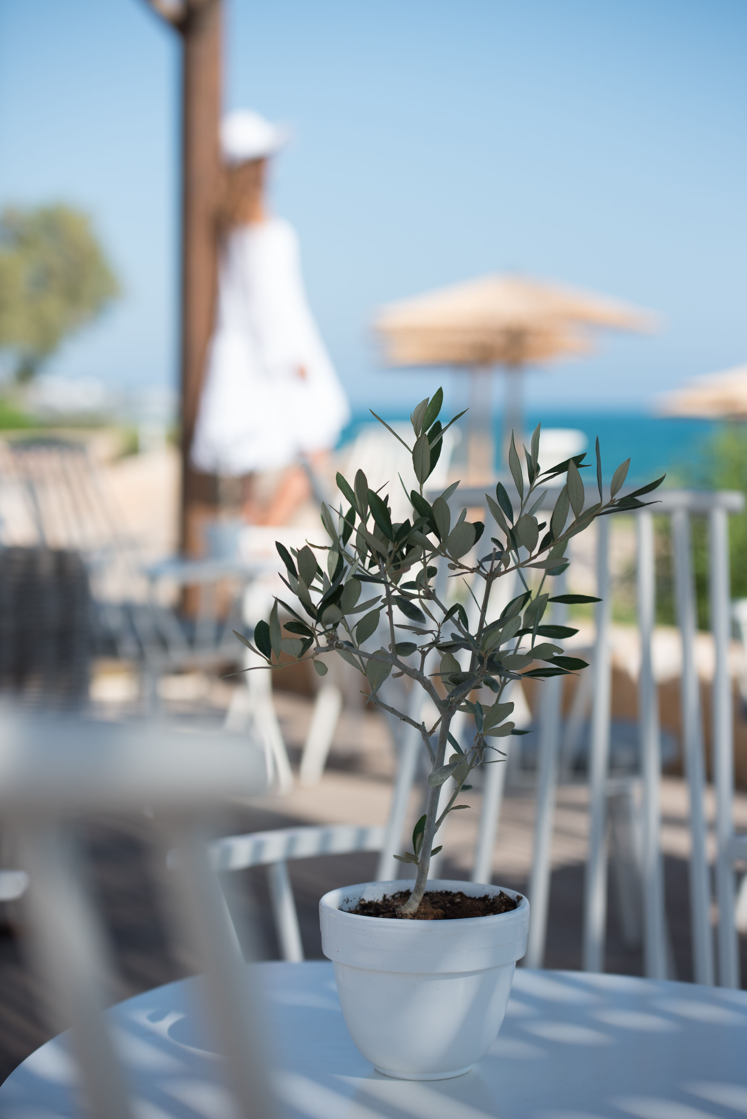 Cafe with a sea view